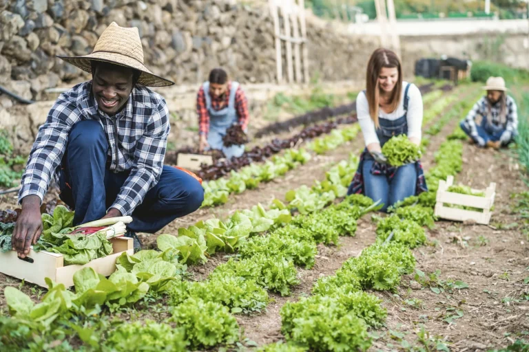 Community Residents in a local garden